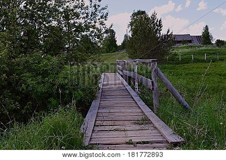 wood bridge  path nature stairs trees village  greens summer desolation day