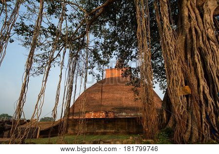 Jetavaranama dagoba stupa, Anuradhapura, Sri Lanka, it is the largest brick building of the old world