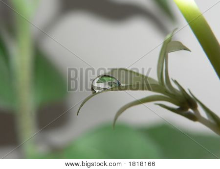 Reflexe