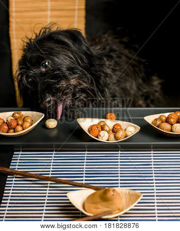 Funny Moment: A Black Dog Steals Food From The Table.
