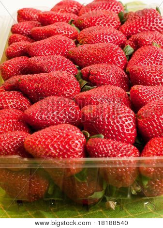 Fragole