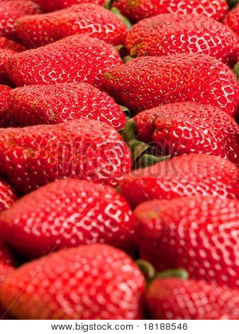 Fragole
