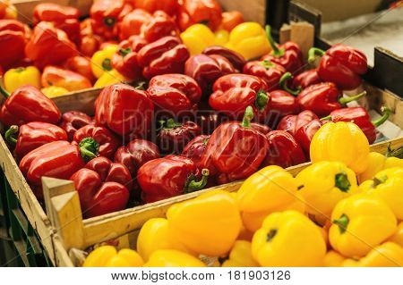 Paprika. Pepper. Fresh and organic vegetables at farmers market. Marketplace. Natural produce. Seasonal products.