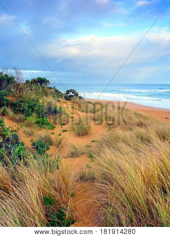 Beautiful sandy beach along the Pacific coastline of Warrnambool Australia