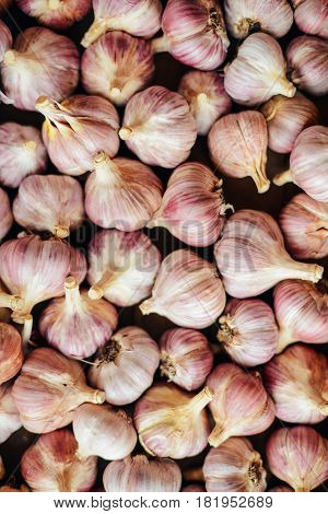 Close-up Garlic Bulbs And Garlic Cloves On Wodeen Background. Ga