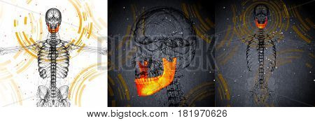 3D Rendering Medical Illustration Of The Jaw Bone