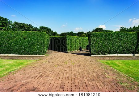 Road block straight into the tree walls. Photography in blue sky day greenness grass foreground and forest in background.