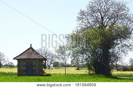 Ancient shepherd's hut with tree in rural France