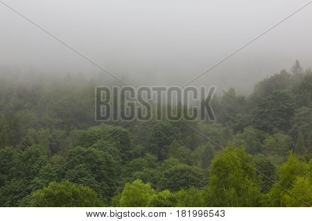 Summertime landscape of Bieszczady Mountain range with mist rain after over deciduous stand, Bieszczady Ridge, Poland, Europe