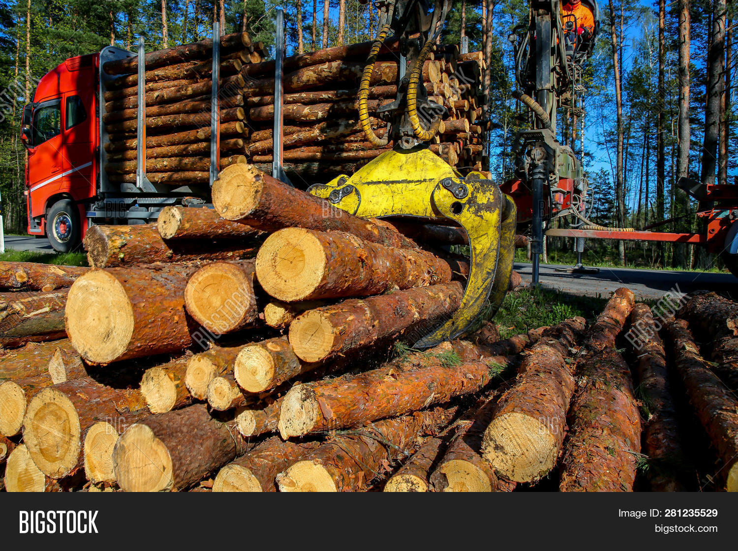 Crane Forest Loading Image & Photo (Free Trial) Bigstock