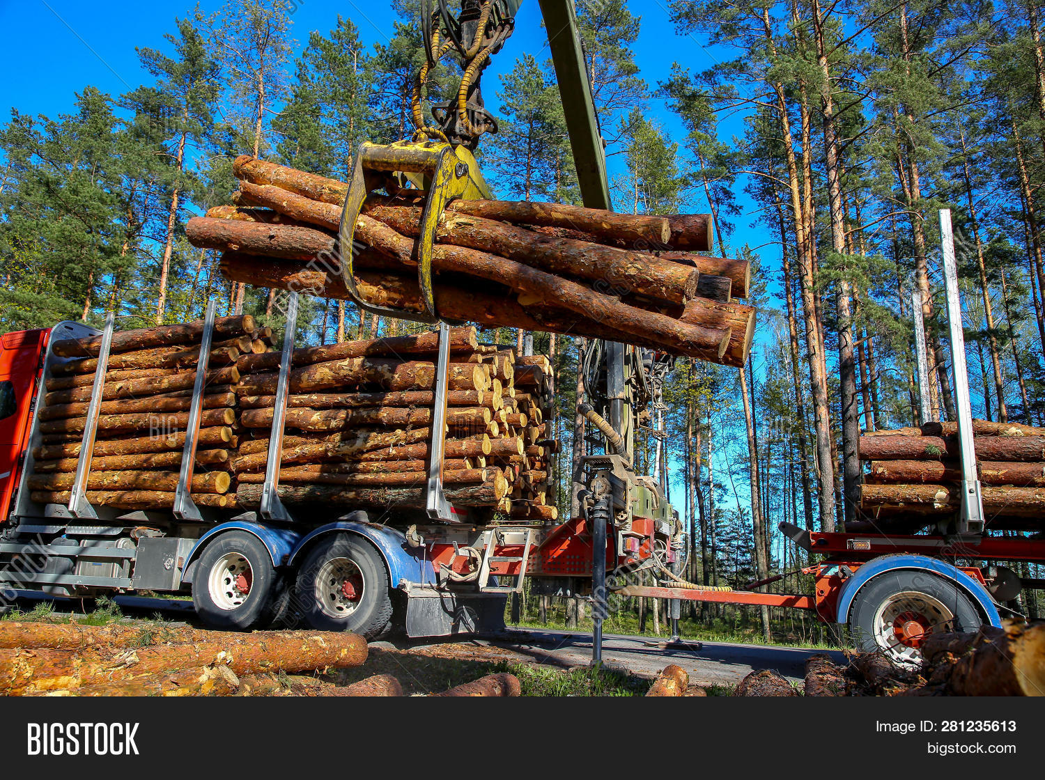 Crane Forest Loading Image & Photo (Free Trial) Bigstock