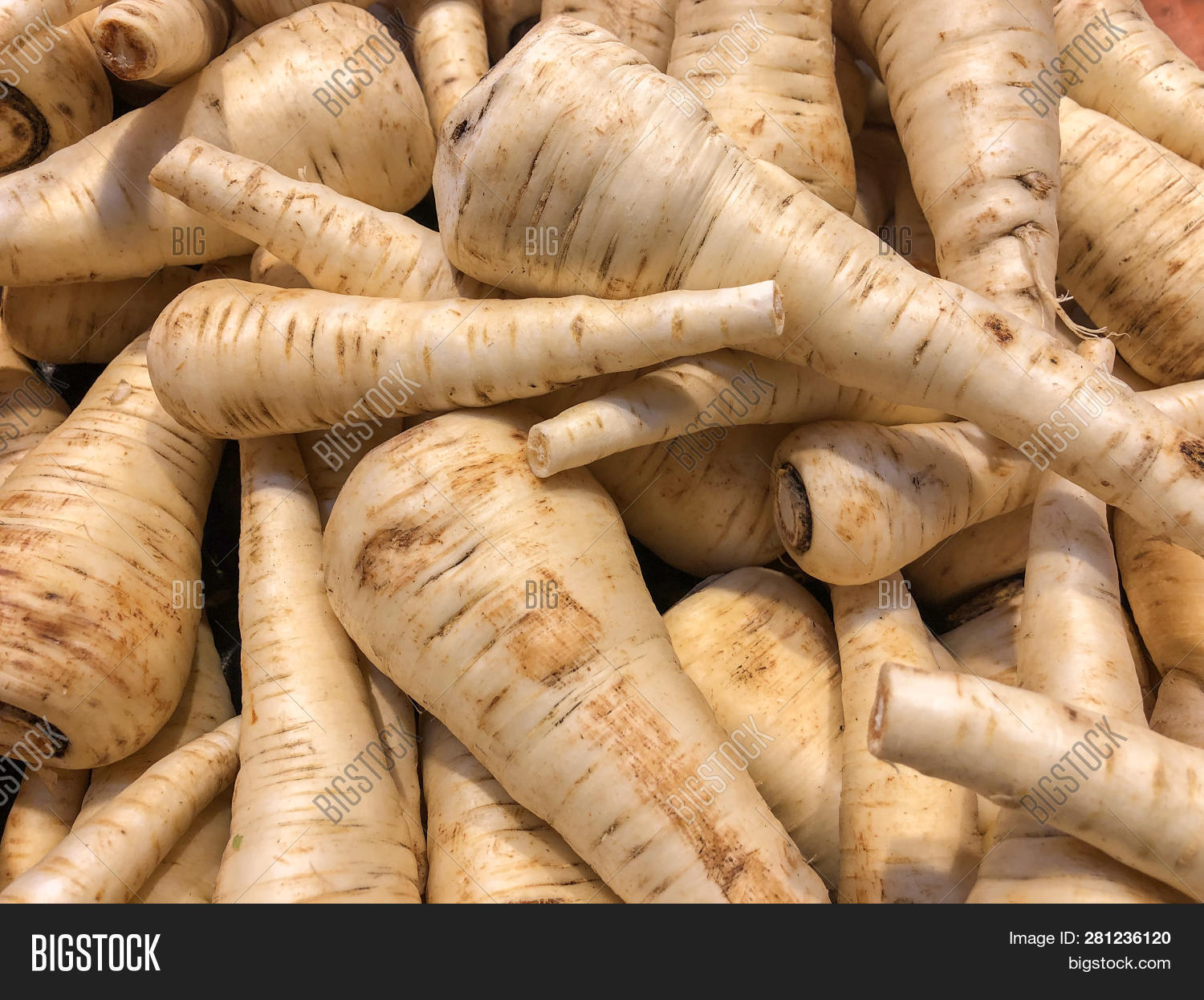 Imagen y foto Parsley Roots. (prueba gratis) Bigstock