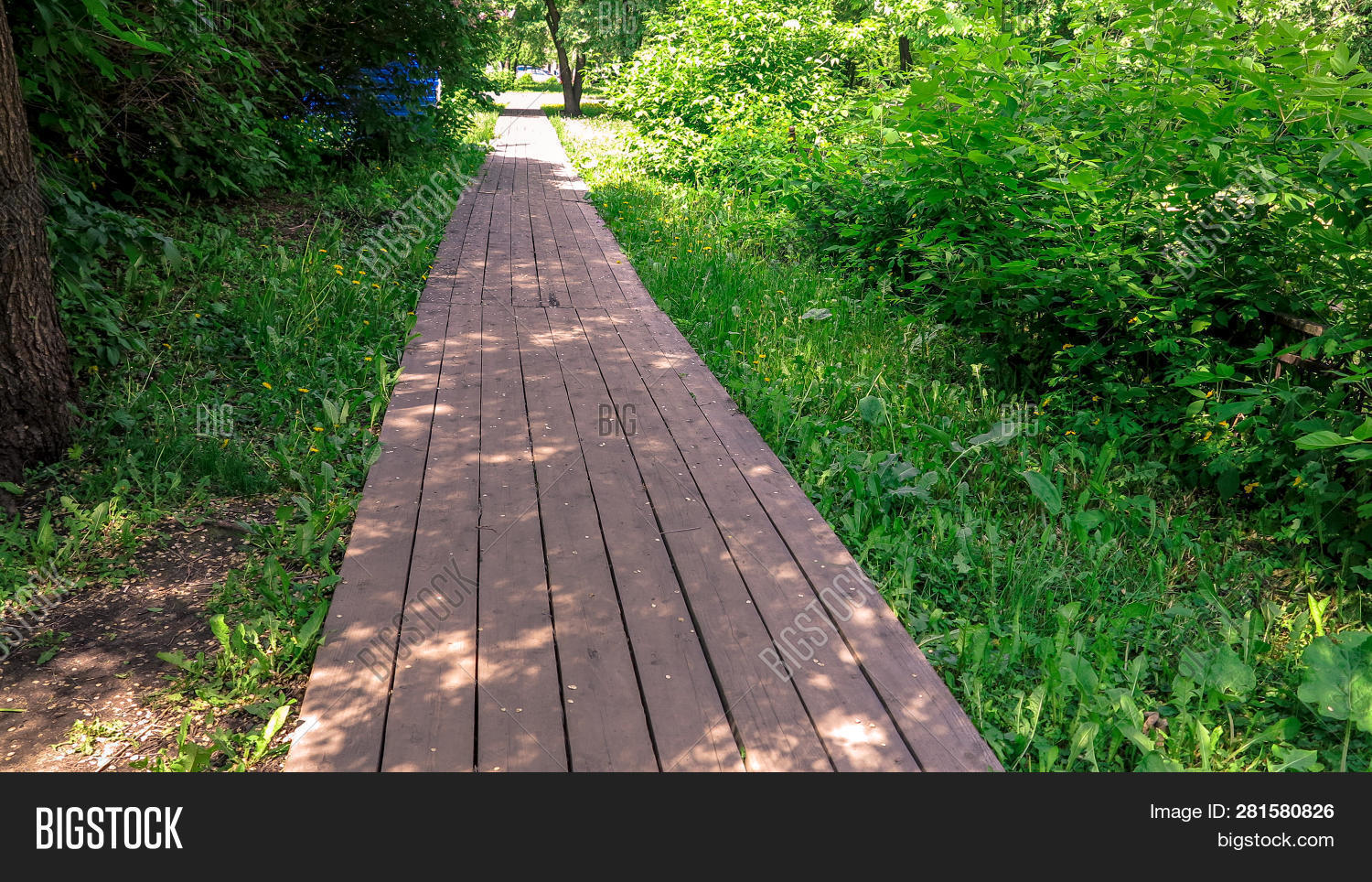 Temporary Path Made Image & Photo (Free Trial) | Bigstock