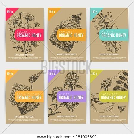 Beautiful Vector Hand Honig Products Card Set. Detailed Trendy Style Backgrounds. Modern Sketch Elem