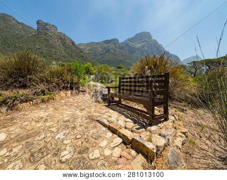 Rustic Bench Against The Backdrop Of Table Mountain,. Kirstenbosch Botanical Garden, Suburb Of Cape 