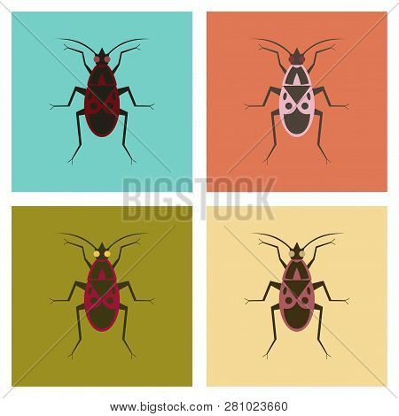 Assembly Flat Icons Soldier Bug Cartoon, Animal, Biology
