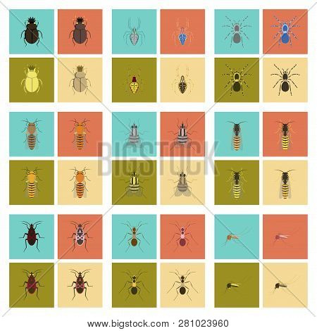 Assembly Flat Illustrations Insect Wasp Soldier Bug Ant Mosquito Scarab Araneus Bee Fly