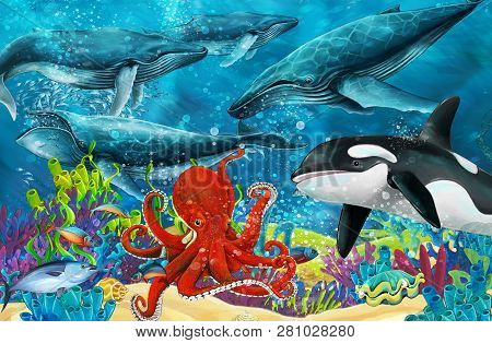 Cartoon Scene With Whale And Killer Whale And Octopus Near Coral Reef - Illustration For Children