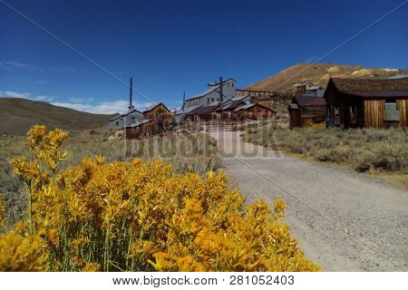 In The Foreground Are Flowers, In The Background A Blurred Ghost Town, Bodie, California.