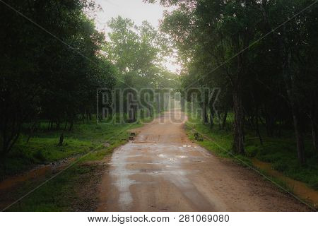 Wilpattu National Park, Sri Lanka Road Dawn