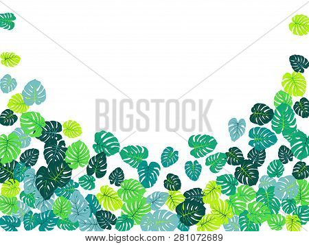 Sea Green Tropical Jungle Leaves Vector Scatter. Philodendron Or Monstera Plant Summer Background. P