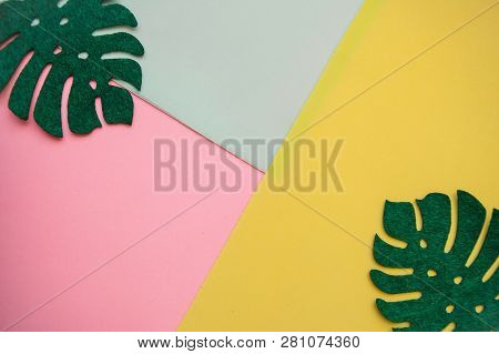 Monstera Leaves On A Colorful Background In Minimal Style. In The Middle There Is A Place For Text.