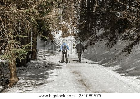 Group Of People Cross Country Skiing On Winter Morning