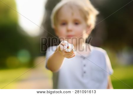 Little Boy Shows A Flower And Asks What It Is. Study Of Nature. Young Naturalist. Summer Activities 