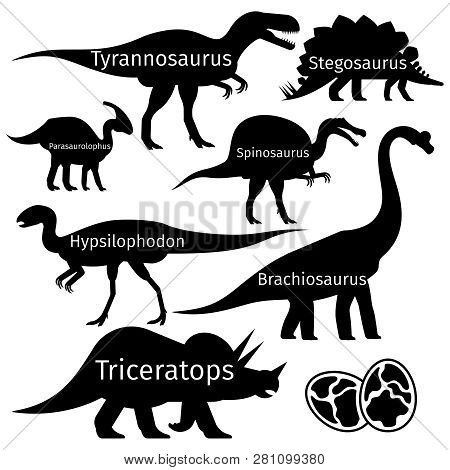 Types Of Dinosaurus Vector Silhouettes Isolated On White Background. Illustration Of Dinosaur Black 