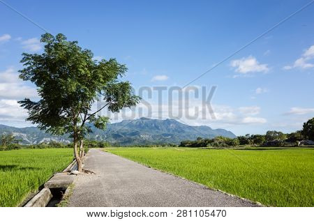 road at green paddy farm in the countryside