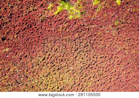 colorful red azolla floating of the river at winter at Wujie , Nantou, Taiwan