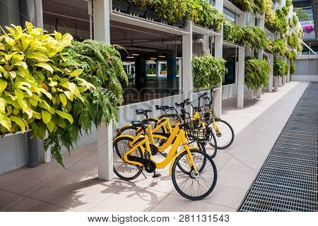 Rent A Bike With Yellow Bikes In Singapore