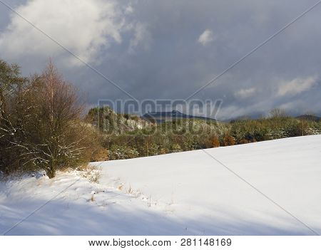 Snow Covered Meadow With Decidouous Trees And Conifer Forest And Hills With Lookout Tower, Blue Sky.
