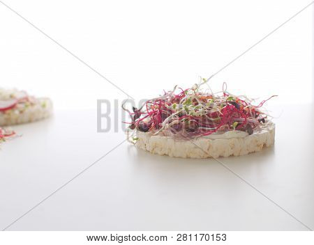 Healthy Snack Concept Rice Bread Crispy Bred Radish Slices Sprouts Marrow Slices Cottage Cheese High