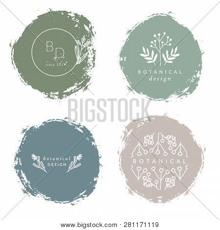 A Set Of Four Modern And Elegant Botanical Branding Designs In Pastel Green, Beige, Blue And White. 