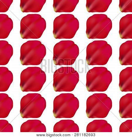 Red Rose Petals Seamless Pattern On White Background, Vector Illustration
