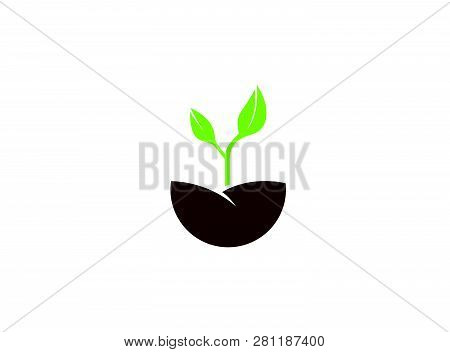 Farming Growing Plants With Leaves For Logo Design