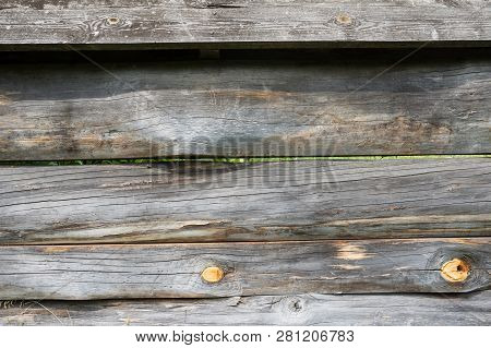 Old Wood Background. Close-up Fence. Structure Of A Tree