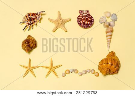 Summer Composition. Frame Made Of Different Sea Shells And Sea Stars Lying On Ligth Yellow Paper Bac