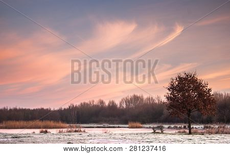 Landscape With Bench And Oak Treee Near The Frozen Lake Under A Morning Sky With Faint Cirrus Clouds