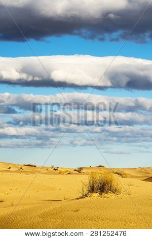 Sand Dunes At Monahans Sandhill State Park In Texas
