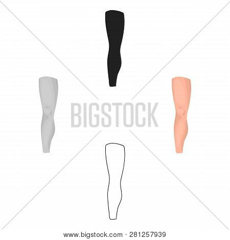 Leg Icon In Cartoon Style Isolated On White Background. Part Of Body Symbol Stock Vector Illustratio