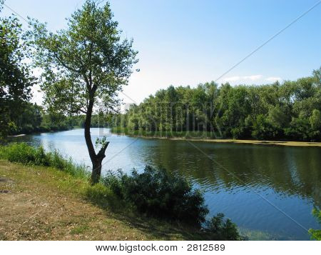 Sommer flodbred