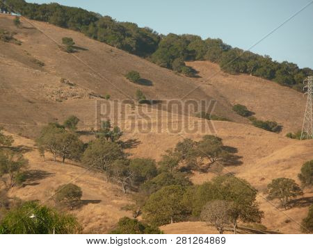A View Of Terrain And Trees In Almaden Valley In San Jose