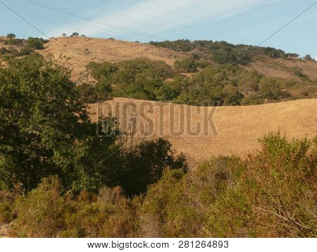 Mountains In Almaden Valley With Oak Trees In San Jose