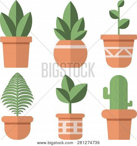 Plants And Pots Icon Set Flat Design Illustration Vector