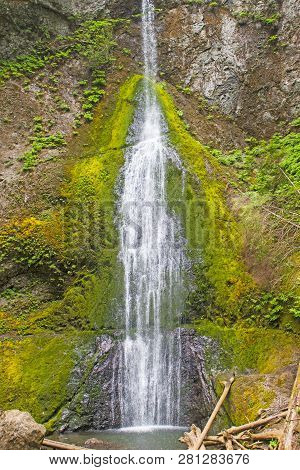 Verdant Marymere Falls In A Temperate Rain Forest In Olympic National Park In Washington