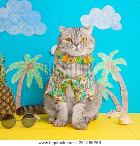 A Cat On Holiday In A Hawaiian Shirt With Pineapples. On The Beach With Malma. A Concept Of Rest, Re