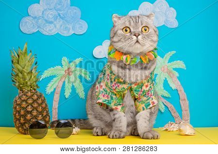 A Cat On Holiday In A Hawaiian Shirt With Pineapples. On The Beach With Malma. A Concept Of Rest, Re