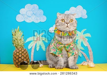 A Cat On Holiday In A Hawaiian Shirt With Pineapples. On The Beach With Malma. A Concept Of Rest, Re